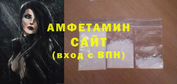 индика Абаза