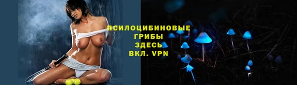 индика Абаза