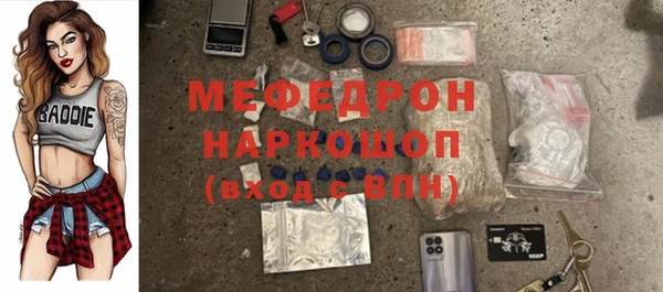 индика Абаза