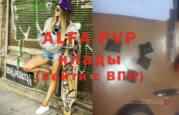 индика Абаза