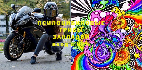индика Абаза